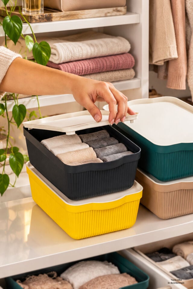 Porsima 4515 Mix Still Box 4'lü Kapaklı Saklama Kabı Seti 3 Litre – Çok Amaçlı Renkli Kiler, Buzdolabı Ve Dolap İçi Organizer Kutusu