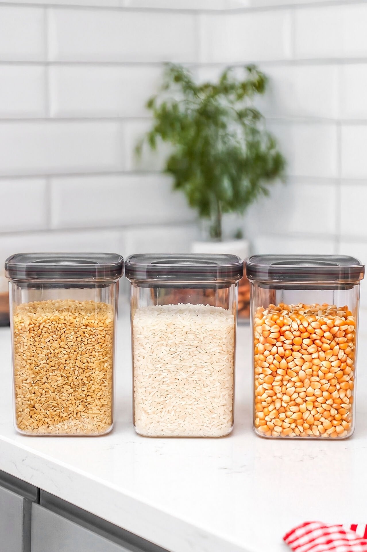 Porsima 101 3lü Sızdırmaz  Yiyecek Erzak Saklama Kabı Seti - 1100ml Şeffaf